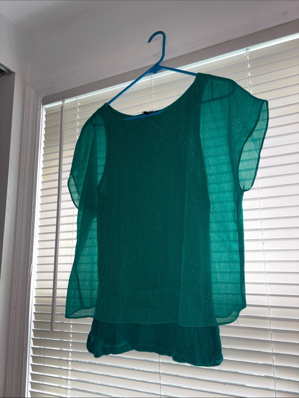 Express Teal Sheer Layered Blouse